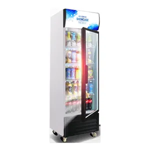 REBIRTH Chinese factory Hot Selling Transparent Glass Standing freezer Cold Drink Display Freezer Chiller Beer Refrigerator