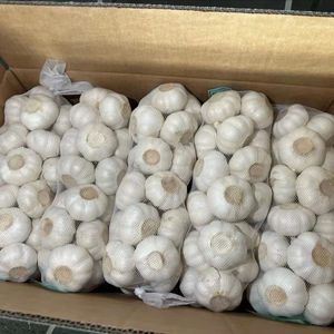 <span class=keywords><strong>Ajo</strong></span> fresco al por mayor libre de pesticidas buena calidad mejor precio Ail <span class=keywords><strong>Ajo</strong></span> Fresco Bawang Putih Popular en el mercado de Brasil - Product Image 3