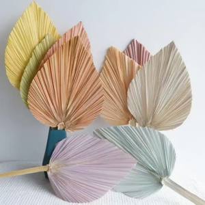 Éventail en feuilles de palmier séchées multicolores, décoration florale originale pour mariage et beauté - Product Image 4