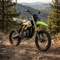 2026 Dreistufiger Gashebel Surron Hyper Bee Elektrisches Offroad-Motorrad für Kinder