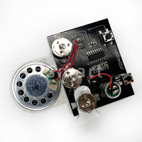 Carte d'enregistrement sonore photosensible 30 secondes Module de musique programmable pour carte de voeux DIY