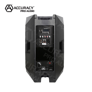 Accuracy Pro AudioCAN10AOH 100W fiesta <span class=keywords><strong>DJ</strong></span> karaoke amplificador digital profesión altavoz de potencia activa sistema de audio caja de sonido de CH - Product Image 5