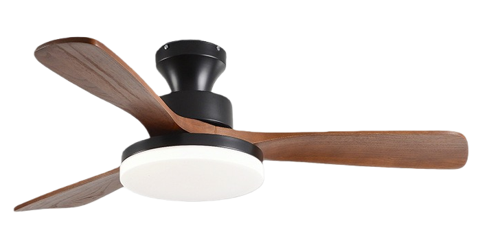 วอลนัทดำ