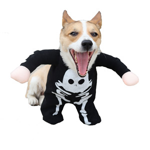 Disfraz Luminoso de Calavera para Mascotas, Ideal para Sesiones de Fotos, Venta al Por Mayor - Product Image 5