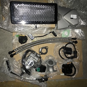 Ensemble moteur de moto Zs190cc Zogshen 190 Zs 190cc ZS1P62YML-2 pour montage de moteur de moto Zs190cc Zog - Product Image 6