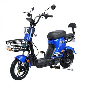 Bicicleta Eléctrica Económica con Batería de Plomo-Ácido de 48V 20AH, Motor Trasero sin Escobillas de 350W, Cuadro de Acero, Largo Alcance, para Uso Urbano - Product Image 1