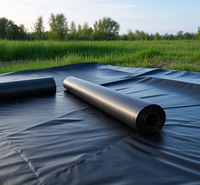 Géomembrane HDPE sur mesure, épaisseur personnalisée, imperméable, anti-UV, écologique, pour l'aquaculture, les étangs à poissons, les fermes de crevettes en extérieur, les barrages