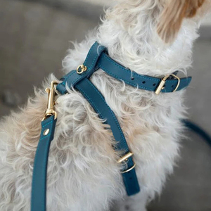 Harnais pour chien Fullto Premium en cuir PU rouge réglable pour des promenades confortables - Product Image 2