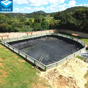 Nhà Máy Giá obor HDPE Màng Đất 0.5Mm 0.75Mm 1Mm Không Thấm Nước Geomembranas Đập Ao Lót - Product Image 5