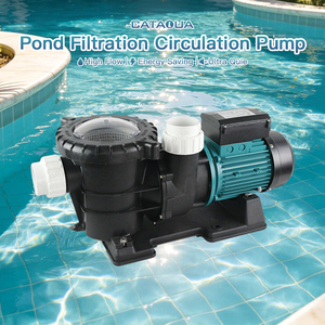 Pompa Sommergibile Multifunzionale ad Alta Pressione a Frequenza Variabile Resistente alla Corrosione per Allevamento Ittico - Product Image 1