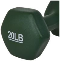 Haltères en néoprène antidérapants à faible MOQ pour femmes, en fonte, pour Pilates, marche, musculation, tonification, avec logo personnalisé, OEM