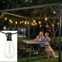 Guirlandes lumineuses LED incassables avec cordon noir, lumières suspendues pour jardin, terrasse, bistrot, café, mariage, décoration de fête