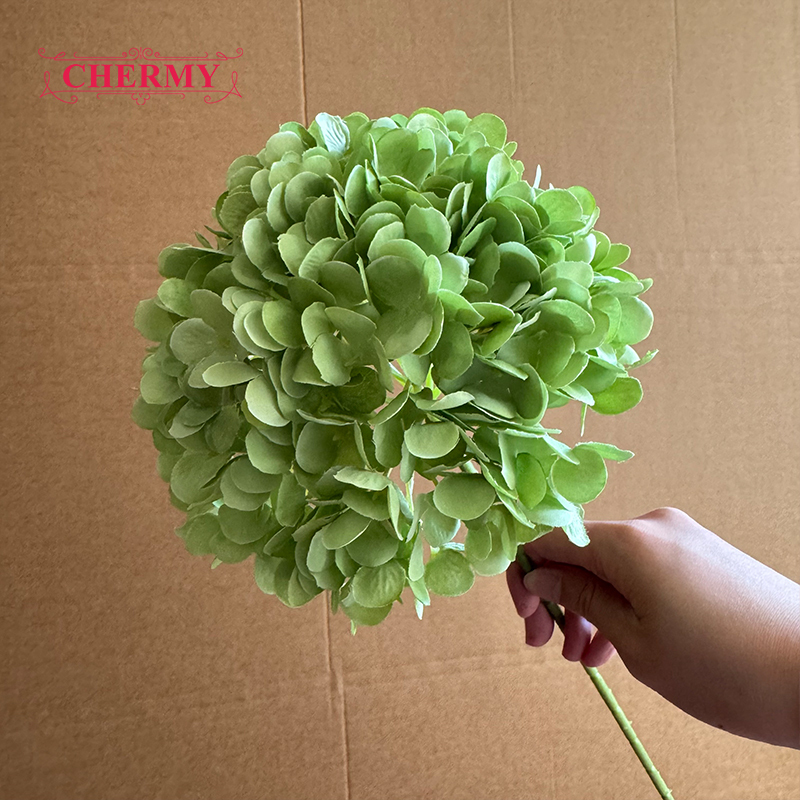 #9 hortensias verts à grosse tête - 18 cm