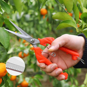 Tijeras de Podar Industriales Transfronterizas con Mango de Plástico y Acero, Tipo Bypass, de Largo Alcance, para Ambas Manos, para Floricultura y Frutas - Product Image 4