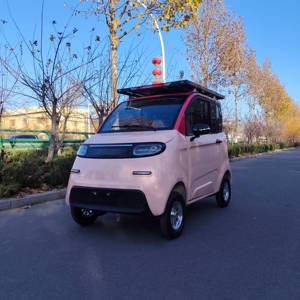 Véhicule électrique solaire à deux portes et quatre places de haute qualité, prix d'usine, avec moteur de 1000W et vitesse maximale de 50 km/h - Product Image 3