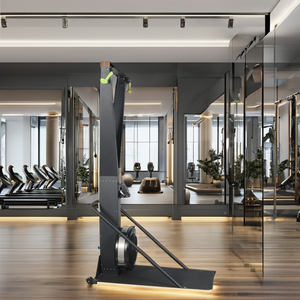Gym Equipment Fitness <b>Ski</b> Erg Machine 10 Level Resistance <b>Ski</b> Resort Snow Machine <b>Ski</b> Erg Machine - Product Image 3