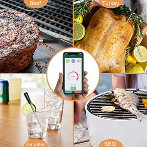 Thermomètre intelligent longue portée, thermomètre numérique sans fil pour viande avec FM200, thermomètre de cuisson intelligent pour viande avec Bluetooth - Product Image 1