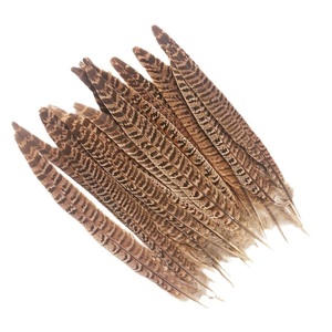 <span class=keywords><strong>Plumas</strong></span> de Faisán de Alta Calidad de 10-15 cm para Tocados, Disfraces, Accesorios de Cine, Decoraciones Retro, Sombreros y Accesorios para Sombreros - Product Image 2
