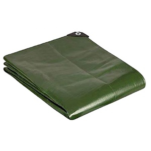 Sac Tissus tissés Toiture Bâches ignifuges Tente Plastique Autre Tissu Bâche Imperméable PE Bâche - Product Image 1