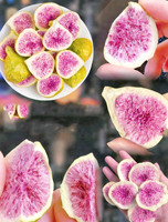 Figues séchées chinoises de qualité supérieure en gros, naturelles et saines, en-cas de figues séchées