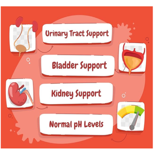 Supplément de canneberge de nutrition protectrice efficace de rein pour le chien de compagnie, 100% supplément naturel de santé de vessie urinaire mâche mou - Product Image 3