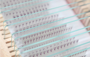 15pcs ếch phôi chuẩn bị kính hiển vi Slide trong hộp nhựa cho nghiên cứu khoa học - Product Image 5