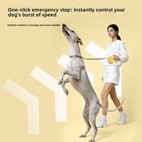 Laisse de chien rétractable automatique 3D en forme de dessin animé, laisse de marche pour chiens de taille moyenne et petite, chaîne en ABS pour animaux de compagnie Teddy