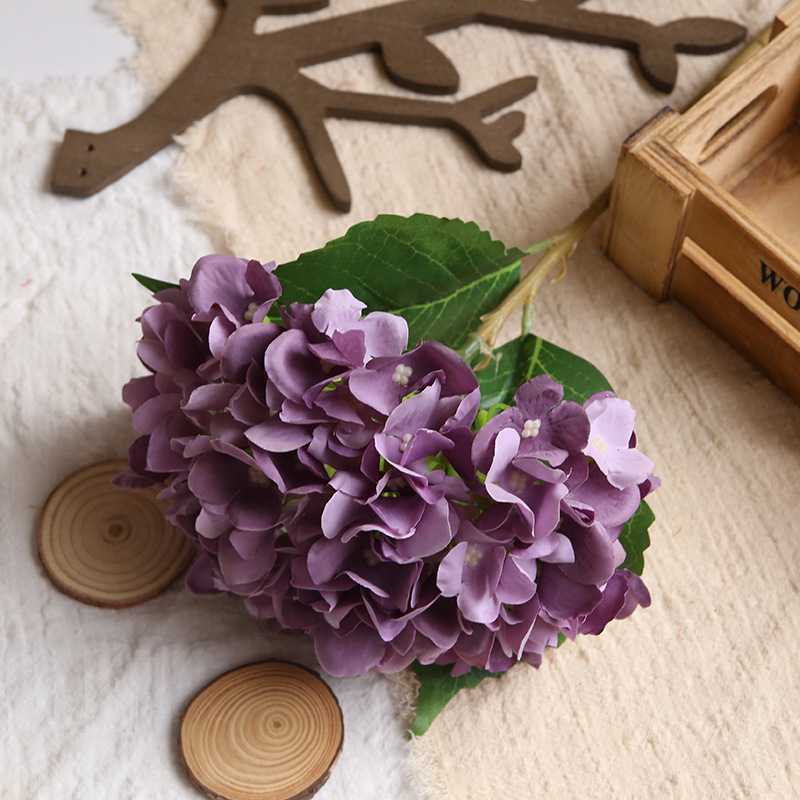 Pourpre