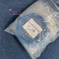 Cable de Red UTP CAT6 de 8 Conductores, Cable de Conexión de 30 cm