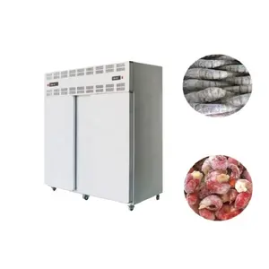 Congelador industrial grande de peixes pequeno equipamento de refrigeração preço rápido da máquina de congelamento por explosão para venda