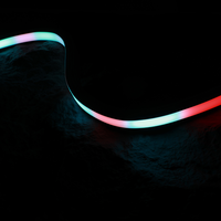 Bande néon flexible sans points 16x16mm 24V 11W 120 LED IP67 étanche en silicone CE pour aménagement paysager extérieur et éclairage architectural