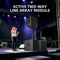 Système de sonorisation PA 5000W DSP Active Line Array avec haut-parleur de graves néodyme 210 pouces, transducteur en titane 3 pouces, 136 dB et caisson de basses amplifié 218 pouces