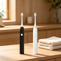 Brosse à dents sonique de haute qualité, étui de voyage portable USB, kit de blanchiment des dents de luxe, brosse à dents électrique intelligente rechargeable