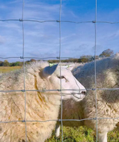 Clôture pour bétail galvanisée personnalisable, élevage de chèvres, élevage de moutons/clôture pour cerfs, filet de clôture pour bétail, filet de clôture pour champ et ferme
