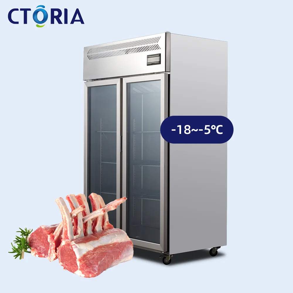 상업용 냉동 혁신 포밍 도어 성분 저장 생선/고기/야채/과일 용 상업용 직립 냉동고