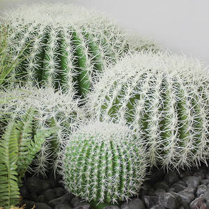 Bonsái de Cactus de Espinas Blancas de Imitación Nórdica, Planta Verde Artificial Grande para Decoración de Paisajes Tropicales y Desérticos - Product Image 3