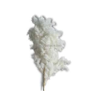 Planta Decorativa de Asparagus Myriocladus (Helecho Ming) Preservada, Flor <span class=keywords><strong>Eterna</strong></span> de Larga Duración, Venta al Por Mayor - Product Image 1