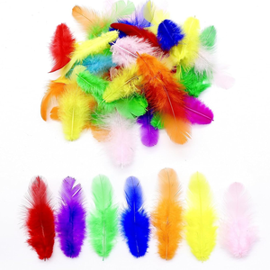 Plumas de Colores para <span class=keywords><strong>Manualidades</strong></span>, Educación Temprana, Creación Artística, Carnaval, Cosplay, Decoración de Paredes y Bodas, Proyectos DIY - Product Image 1