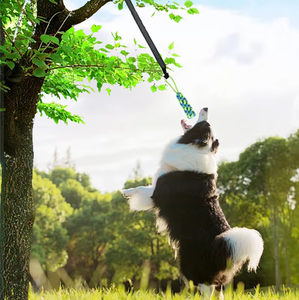 Köpek römorkör-of-war halat çiğnemek oyuncak, halat çekme oyuncak, kapalı ve açık Pet oyuncak - Product Image 3