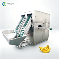 Automatische hogesnelheids industriële groene plantain/bananen schilmachine, machine voor het schillen van volwassen bananen