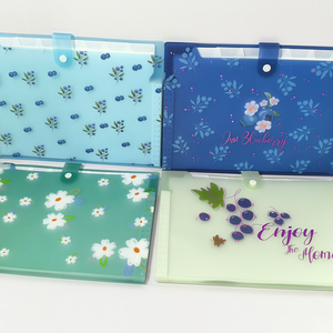 Daisy minh <span class=keywords><strong>b</strong></span>ạch PP thẻ chất kết dính kế hoạch máy tính xách tay A5/A6 6 Vòng Ngân Sách xoắn ốc chất kết dính Loose-Leaf ràng buộc nộp hồ sơ Kích thước sản phẩm A4 - Product Image 5