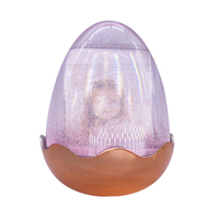 Bon marché Vente en gros Boule à neige en forme d'oeuf de Pâques pour enfants jouets Souvenir Mini photo numérique fantaisie flotteur cadre transparent
