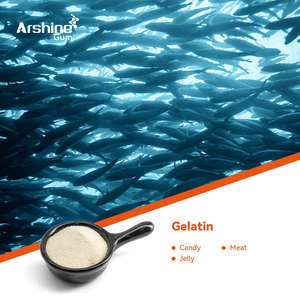 Entrepôt aux États-Unis en stock Fabrication de collations Poudre de floraison <span class=keywords><strong>180</strong></span> <span class=keywords><strong>Gélatine</strong></span> bovine Halal comestible <span class=keywords><strong>Gélatine</strong></span> bovine - Product Image 6