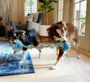 Chewable sinh thái thân thiện tương tác cắn kháng Du Côn Chewy khó khăn dây thừng Pet Dog bông Dây đồ chơi - Product Image 6