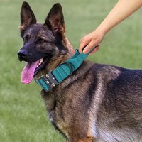 Collar táctico personalizado para perros, ajustable, resistente, con hebilla metálica de liberación rápida, para perros pequeños, medianos o extra grandes.