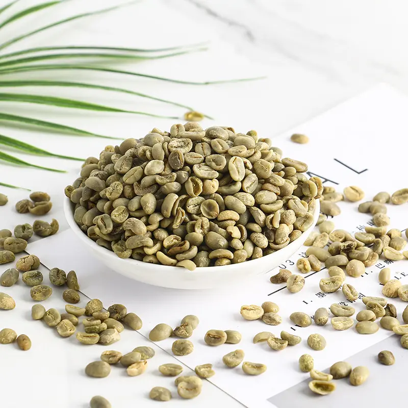 Wholesale Price Chinese High Quality Raw Green Coffee Bean For Sale