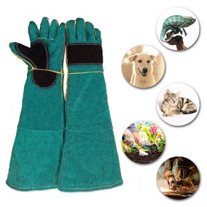 Doublure en toile respirante pour chien, <span class=keywords><strong>chat</strong></span>, oiseau, serpent, perroquet, lézard, gants de Protection des animaux sauvages - Product Image 1