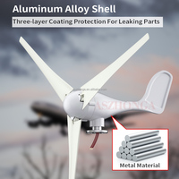 Éolienne à axe horizontal 100W/200W/300W/400W/500W 12V/24V à 3 pales pour maison et ferme