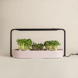 Système de culture hydroponique automatique Microgreen Kit horizontal Smart Garden Garden Kit de culture <span class=keywords><strong>d</strong></span>'herbes <span class=keywords><strong>d</strong></span>'<span class=keywords><strong>intérieur</strong></span> <span class=keywords><strong>D</strong></span>écoration <span class=keywords><strong>d</strong></span>'<span class=keywords><strong>intérieur</strong></span> - Product Image 1
