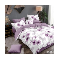 Ensemble de housse de couette en polyester 100% de haute qualité housse de couette en tissu doux pour la peau et draps de lit literie de qualité supérieure